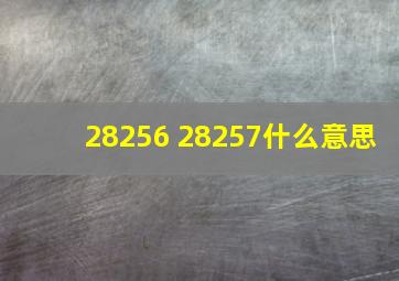 28256 28257什么意思